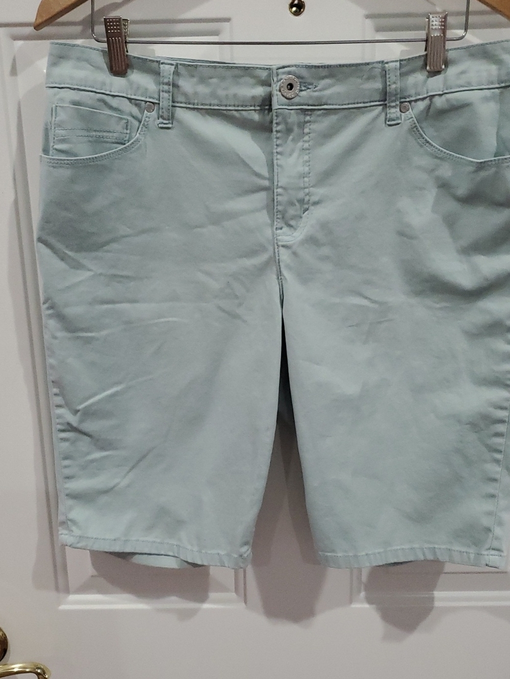 Bandolino Mandie Light Mint Flat-Front Chino Shorts Size 12